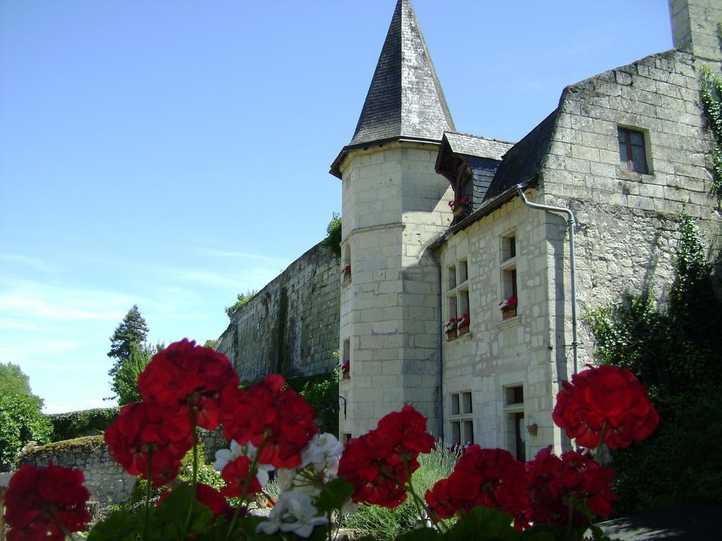 Le Petit Hureau Saumur Exterior foto
